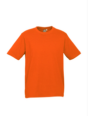 Premium Mens Ice T-shirts - 185gsm