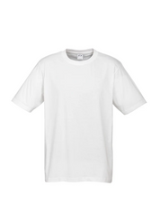 Premium Mens Ice T-shirts - 185gsm
