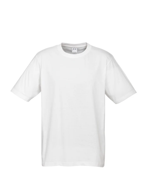 Premium Mens Ice T-shirts - 185gsm