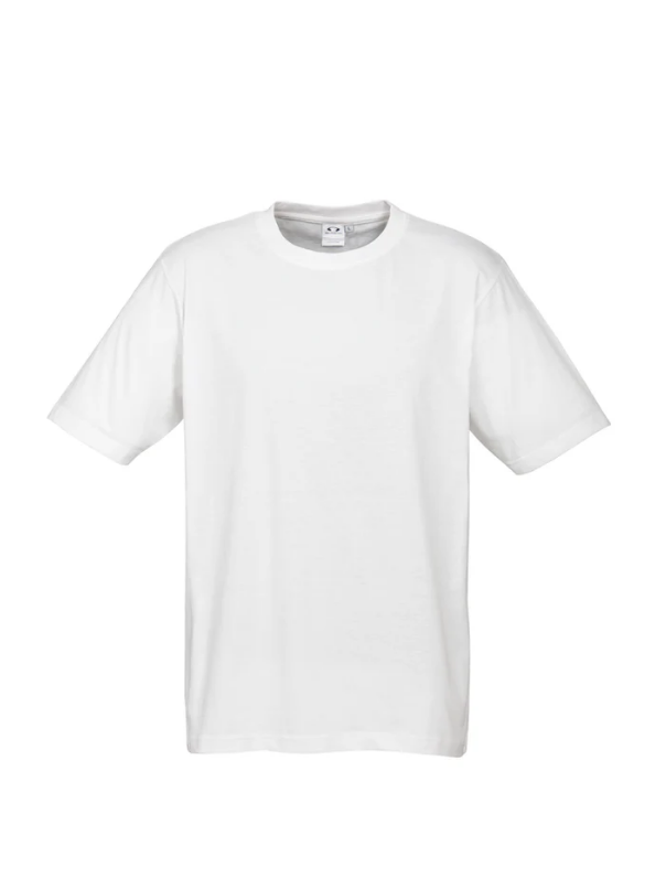 Premium Mens Ice T-shirts - 185gsm