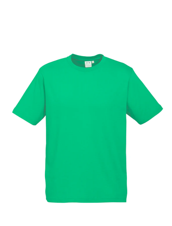 Premium Mens Ice T-shirts - 185gsm