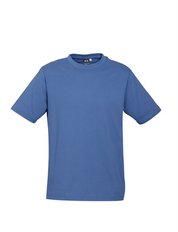 Premium Mens Ice T-shirts - 185gsm