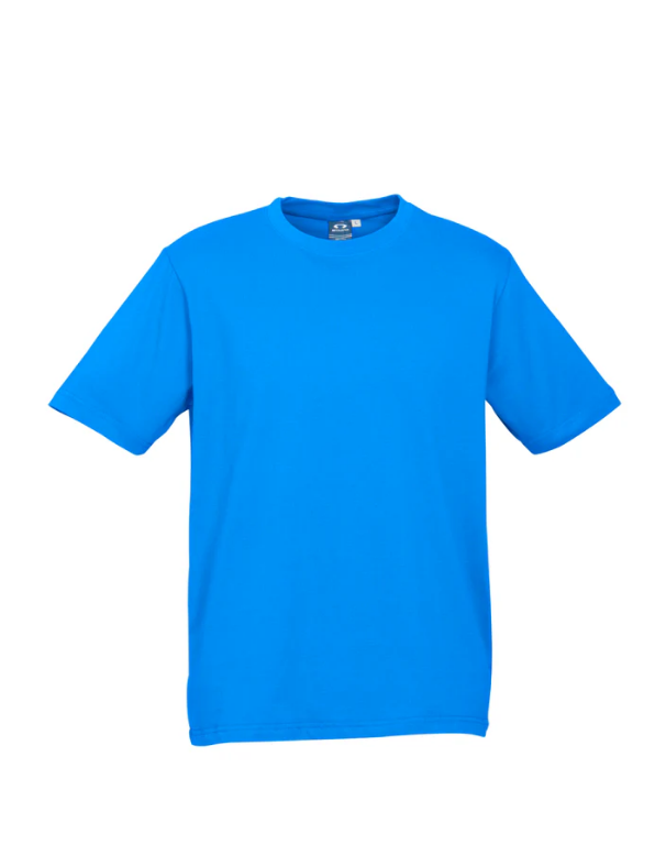 Premium Mens Ice T-shirts - 185gsm