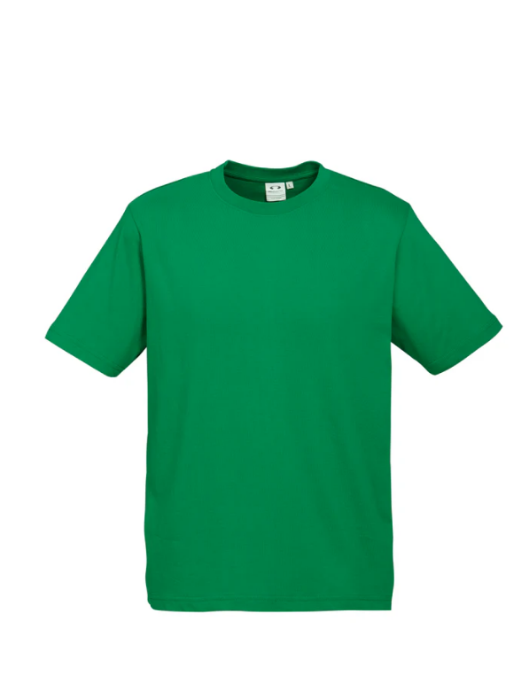 Premium Mens Ice T-shirts - 185gsm