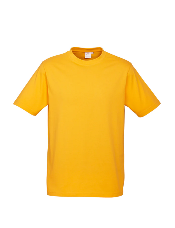 Premium Mens Ice T-shirts - 185gsm