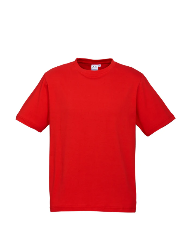 Premium Mens Ice T-shirts - 185gsm