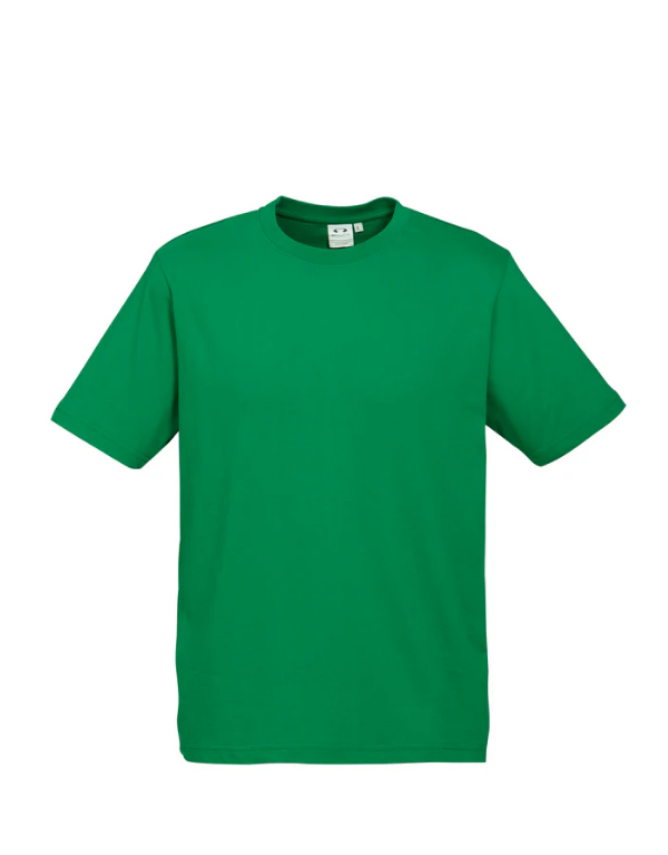 Premium Youth Ice T-Shirts - 185gsm