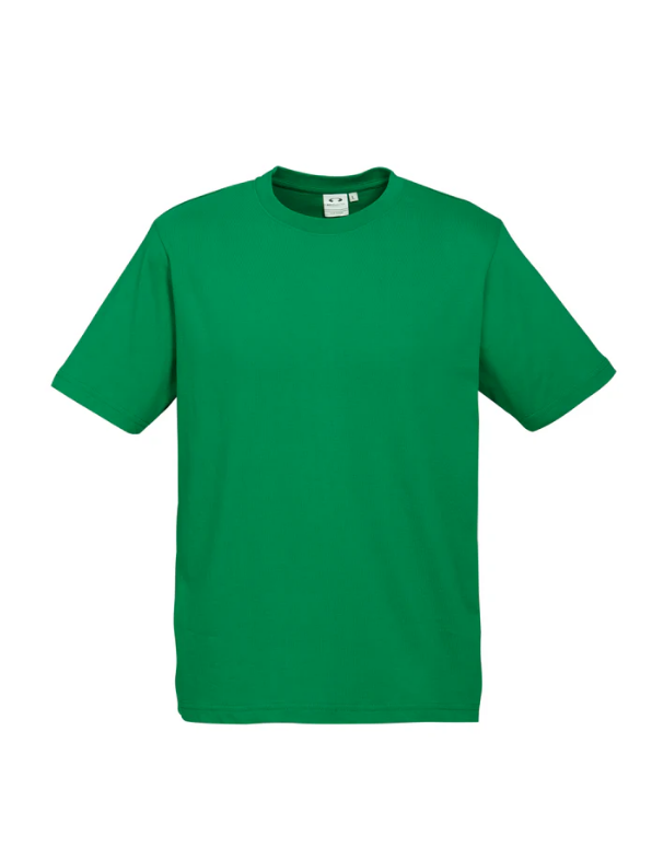 Premium Mens Ice T-shirts - 185gsm